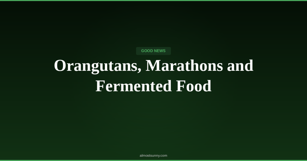 G-020 — Orangutans, Marathons and Fermented Food — Tuesday, April 28,&nbsp;2026